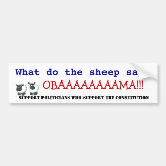 Obama vs the Constitution Bumper Sticker