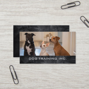 Obedient Dogs Sitting in House   Dog Trainer Business Card