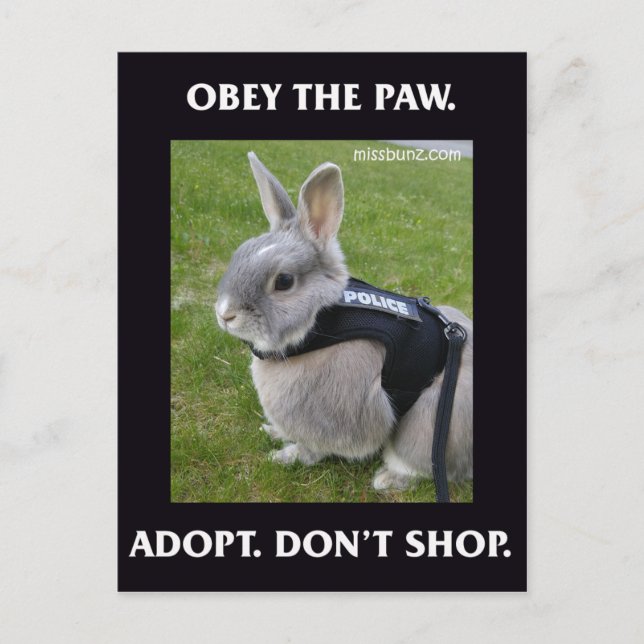 Obéissez à la carte postale Paw (Devant)