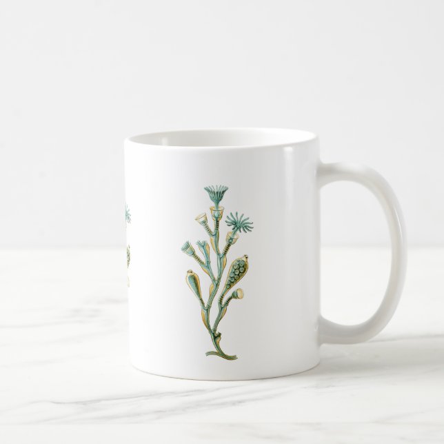 Obelia (Jellyfish) Coffee Mug (Right)