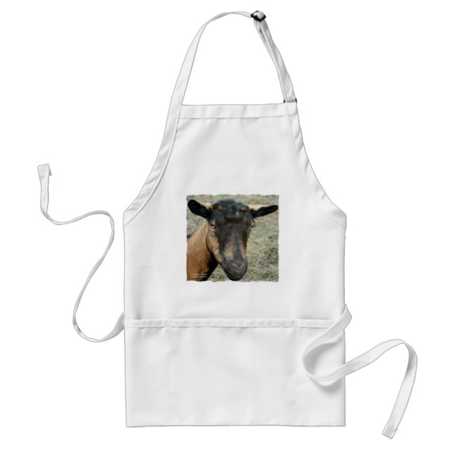 Oberhasli brown goat head shot in colour standard apron (Front)