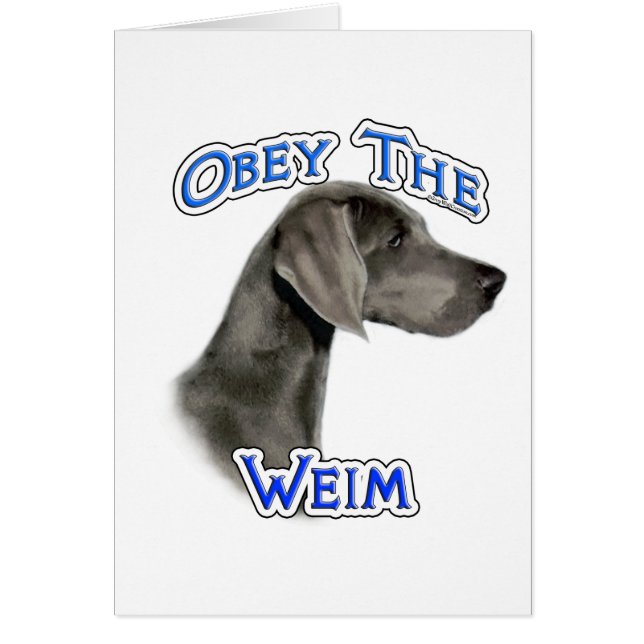 Obey le Weimaraner (Devant)