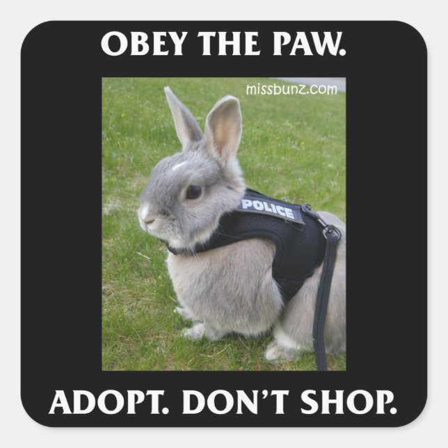 Obey the Paw Sticker (Front)