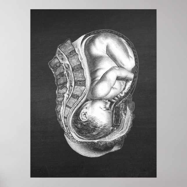 OBGYN Anatomy Art Decor no. 3 (Front)