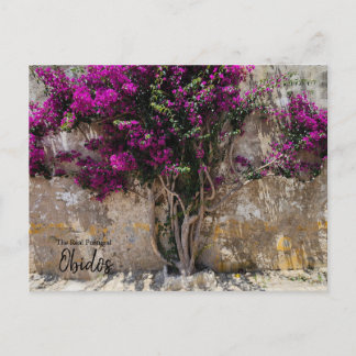 Obidos Colours Portugal Postcard