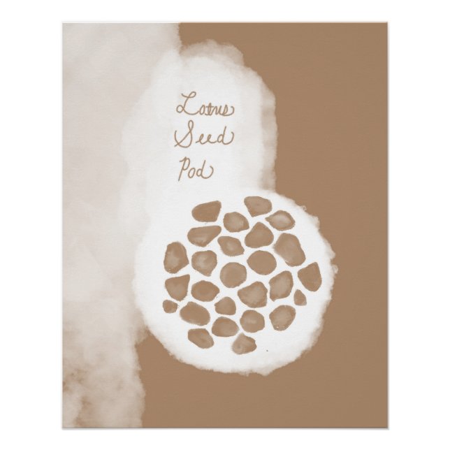 objet_11_lotus seed pod glossy poster (Front)