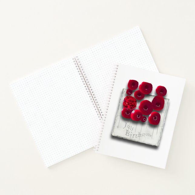 objet_4_variations on the ruby spiral notebook (Inside)