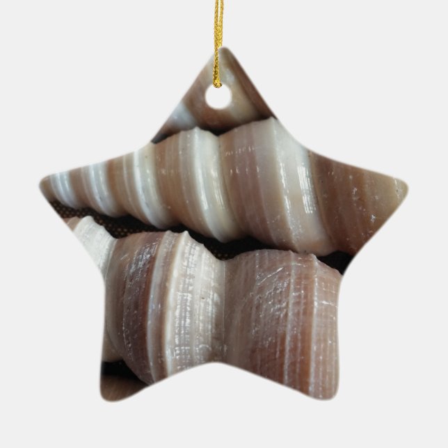 Oblong  Summer Seashells, Summer Season Ceramic Ornament (Front)