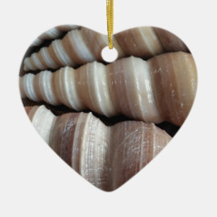 Oblong  Summer Seashells, Summer Season Ceramic Ornament