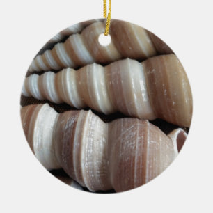 Oblong Summer Seashells, Summer Season Ceramic Ornament