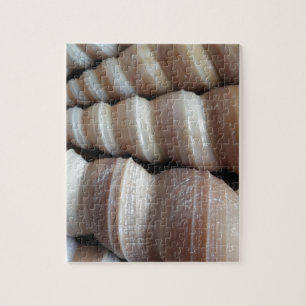 Oblong  Summer Seashells, Summer Season Jigsaw Puzzle