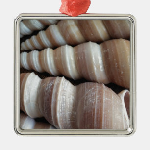 Oblong Summer Seashells, Summer Season Metal Ornament
