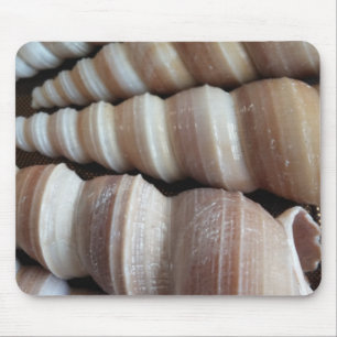 Oblong  Summer Seashells, Summer Season Mouse Pad