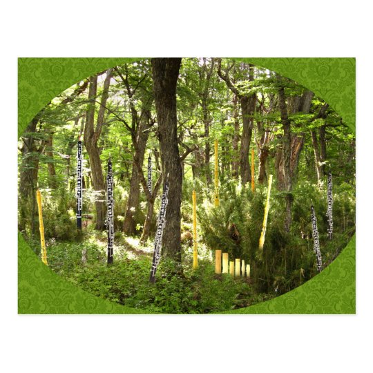 Oboe Forest Postcard