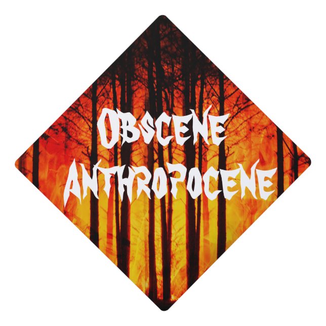 Obscene Anthropocene Climate Change Graduation Cap Topper (Front)