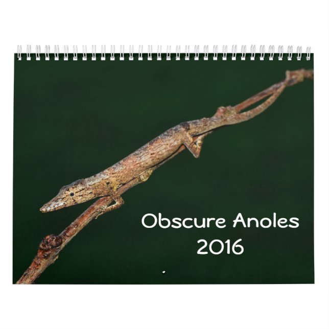Obscure Anoles 2016 - An Anole Annals Production Calendar (Cover)