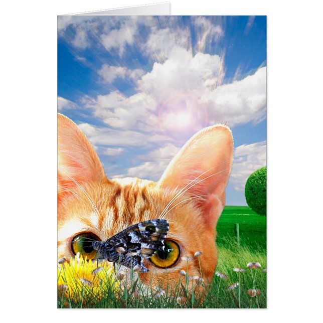 Observateur de papillons (Devant)