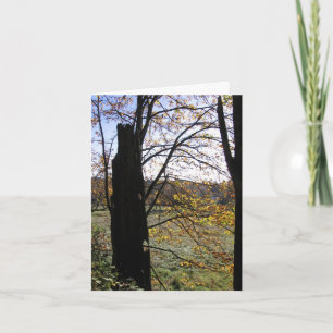 Observation and Imagination card