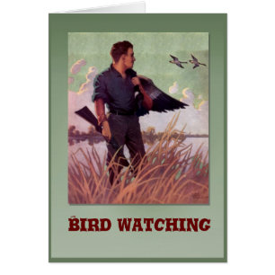Observation des oiseaux