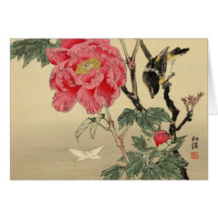 Observation d'oiseau un papillon