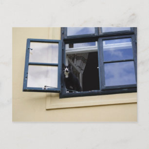Observer Postcard