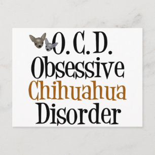 Obsessive Chihuahua Disorder Postcard