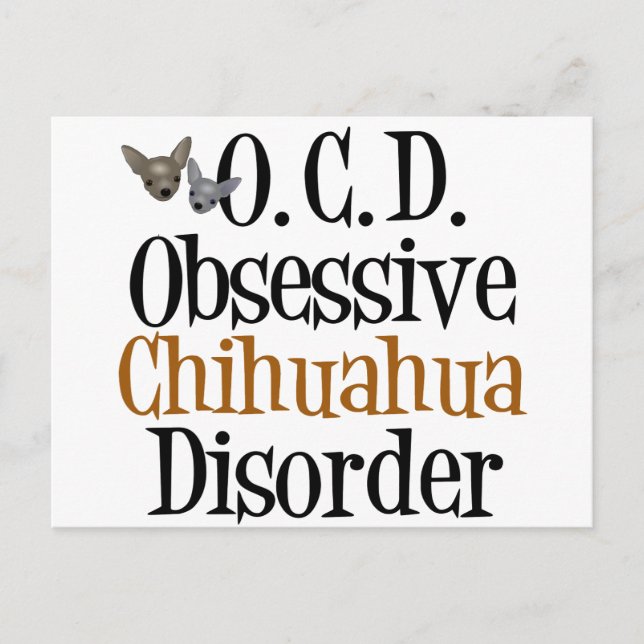 Obsessive Chihuahua Disorder Postcard (Front)