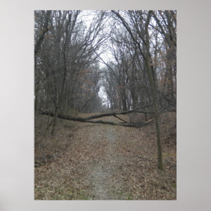 Obstacle in the Road Poster