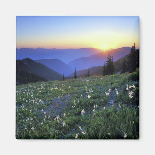 Obstruciton Point Sunset, Olympic NP, WA, USA Magnet