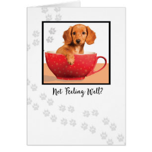 Obtenez bien mignon chien Dachsund en Coupe