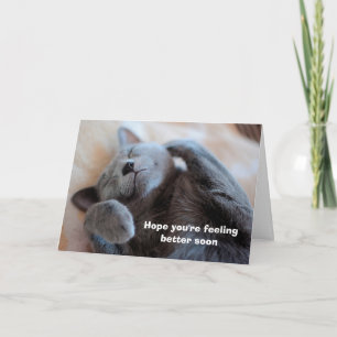 Obtenez bientôt une belle carte de chat