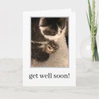 Obtenez Bonne Carte Bientôt - Chat Nurse Kitten Mi