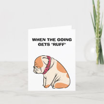 Obtenez Des Cartes Pour Chiens