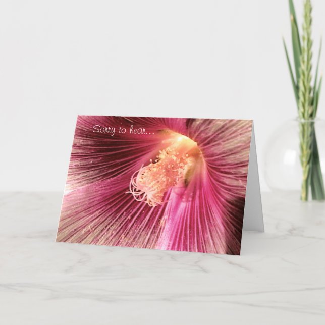 Obtenez la carte rose Holly Hock Flower (Devant)