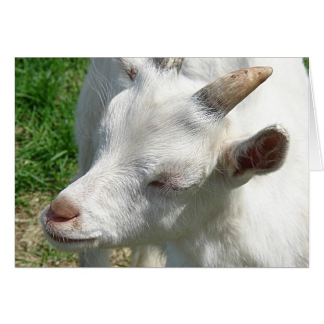 Obtenez-moi quelques nuances (Devant horizontal)