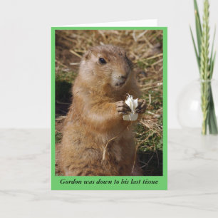 Obtenir la carte de gophis