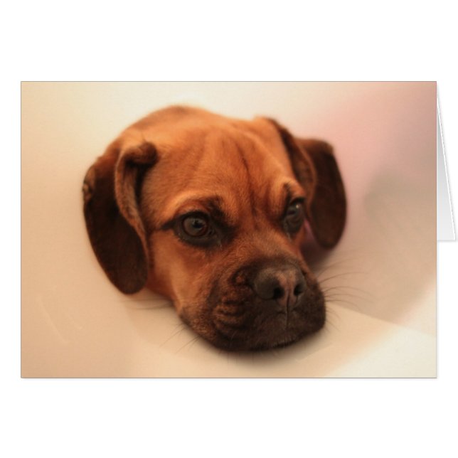 obtenir mieux (Devant horizontal)