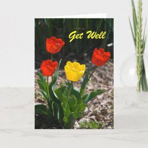 Obtenir une carte de tulipe