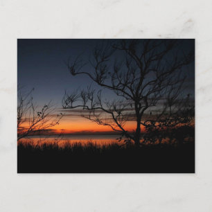 OBX Sound Sunset Postcard