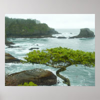 Ocean and rocky shore of remote area