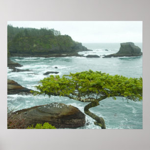 Ocean and rocky shore of remote area poster