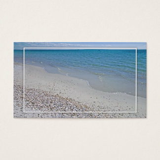 Ocean and Sea Shells