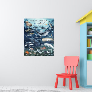 Ocean Animals   Education Learning Classroom  Poster