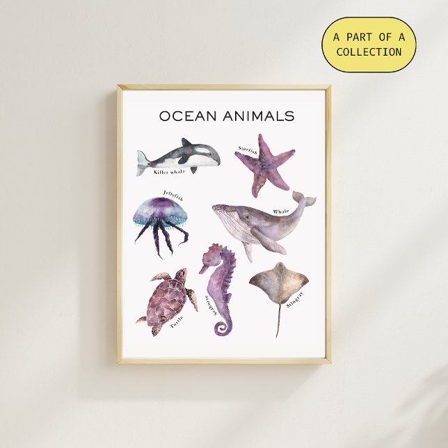 Ocean Animals Educational Poster (Créateur téléchargé)