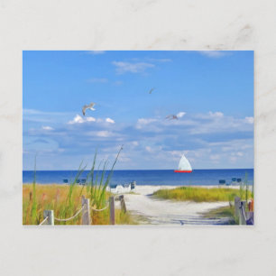 Ocean, Beach, and Sailboat Postcard