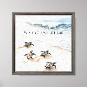 Ocean Beach Coast Sea Turtles Canvas Print