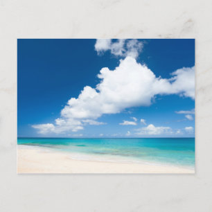 Ocean beach postcard