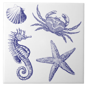 Ocean Beach Seahorse Starfish Crab & Shell Pattern Tile