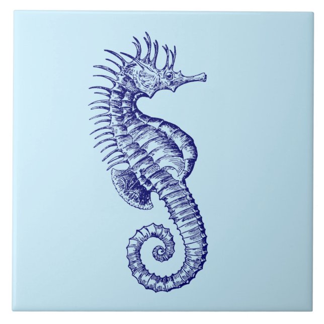 Ocean Beach Seahorse Tile (Front)