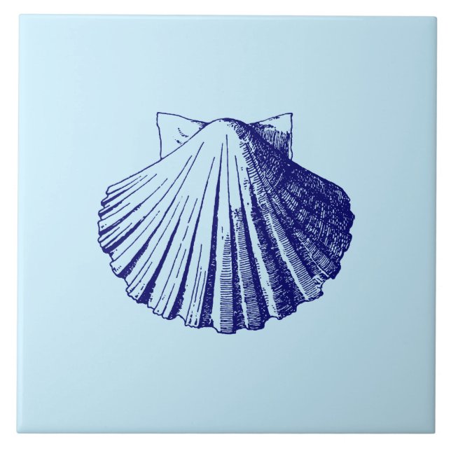 Ocean Beach Seashell Tile (Front)